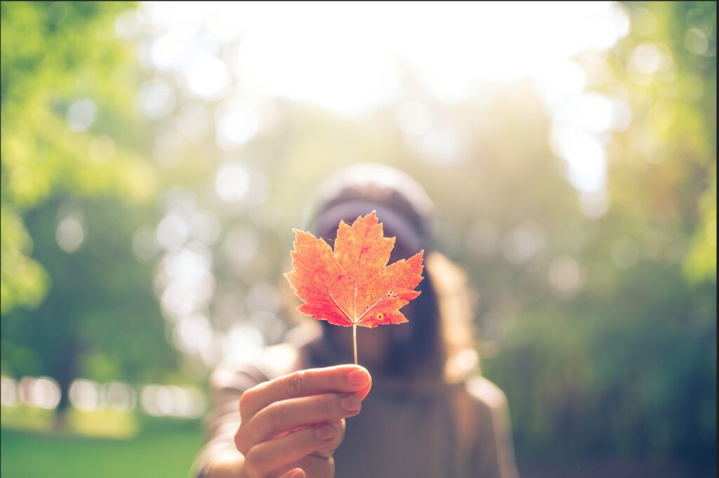 Women holding up Canadian leaf amongst bright trees 