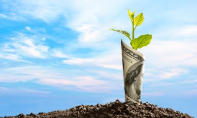 Image of US dollar bank note with plant growing on top of soil.