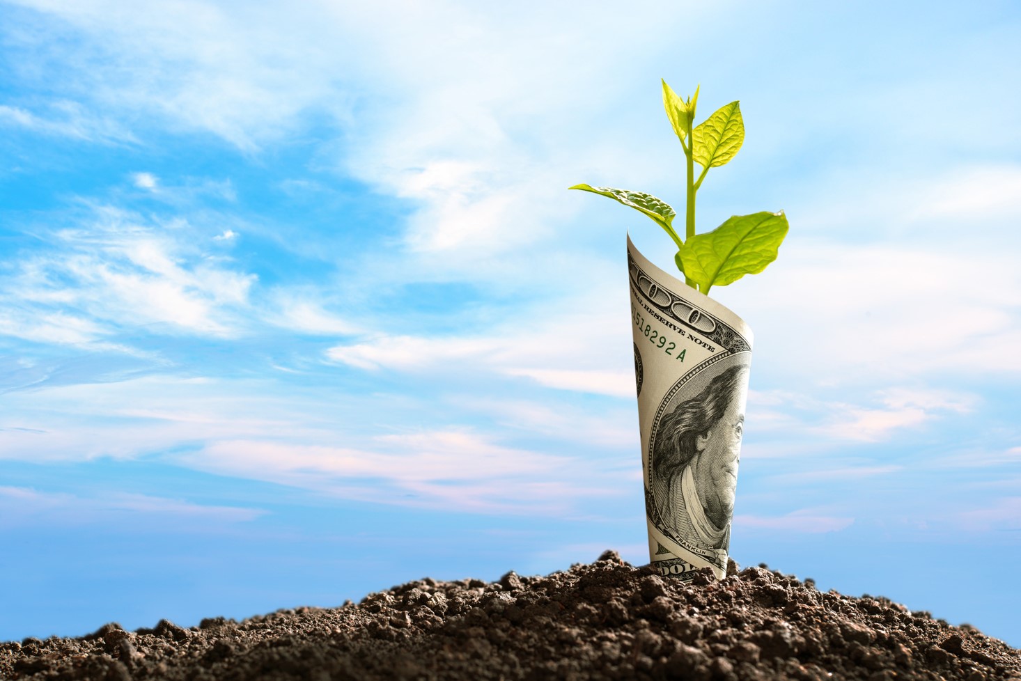 Image of US dollar bank note with plant growing on top of soil.