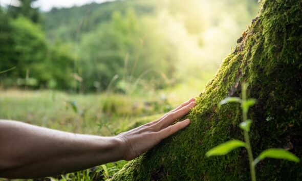 Hand touching a tree and connecting with nature