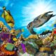 Colorful Coral Reefs with fish and turtles swimming around it