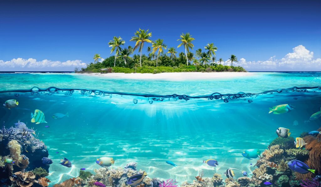 Tropical island and coral reef