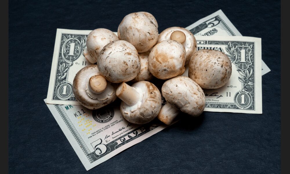 Mushrooms sitting on dollar bills