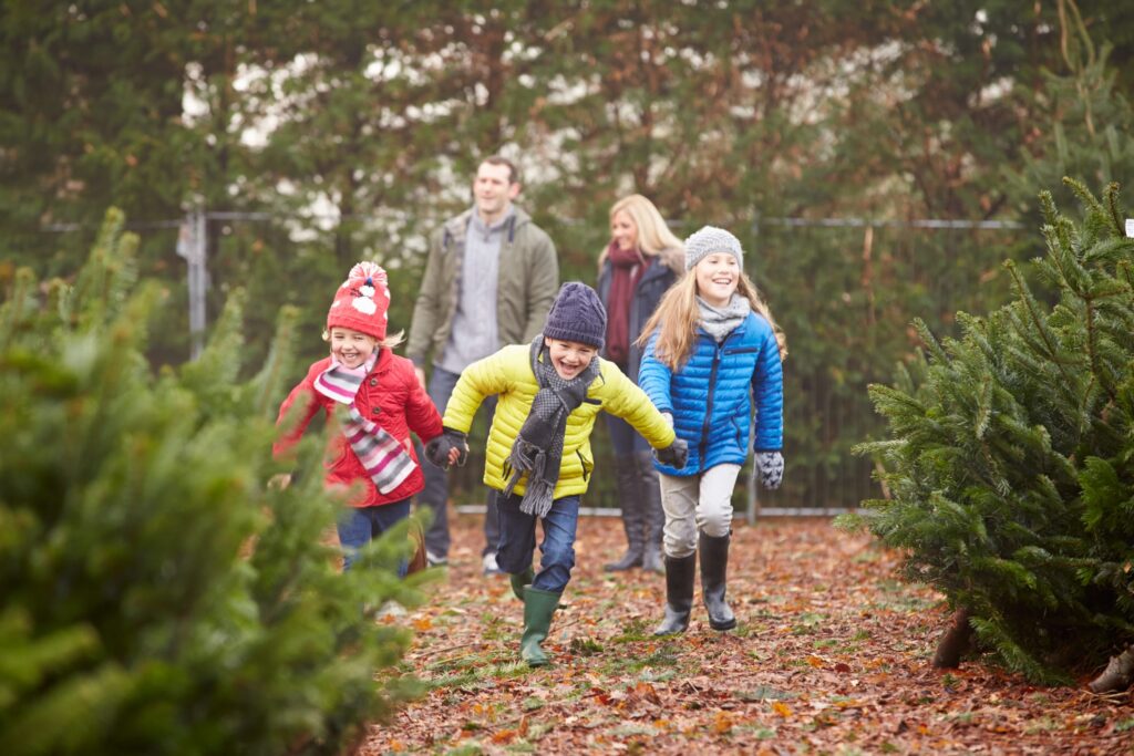 24 wonderful tips to have a sustainable Christmas in 2023. How sustainable are Christmas trees?
