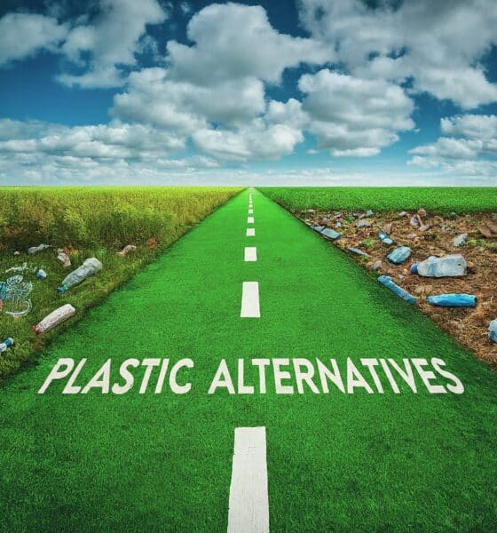 plastic alternatives paving a road to a plastic pollution-free future