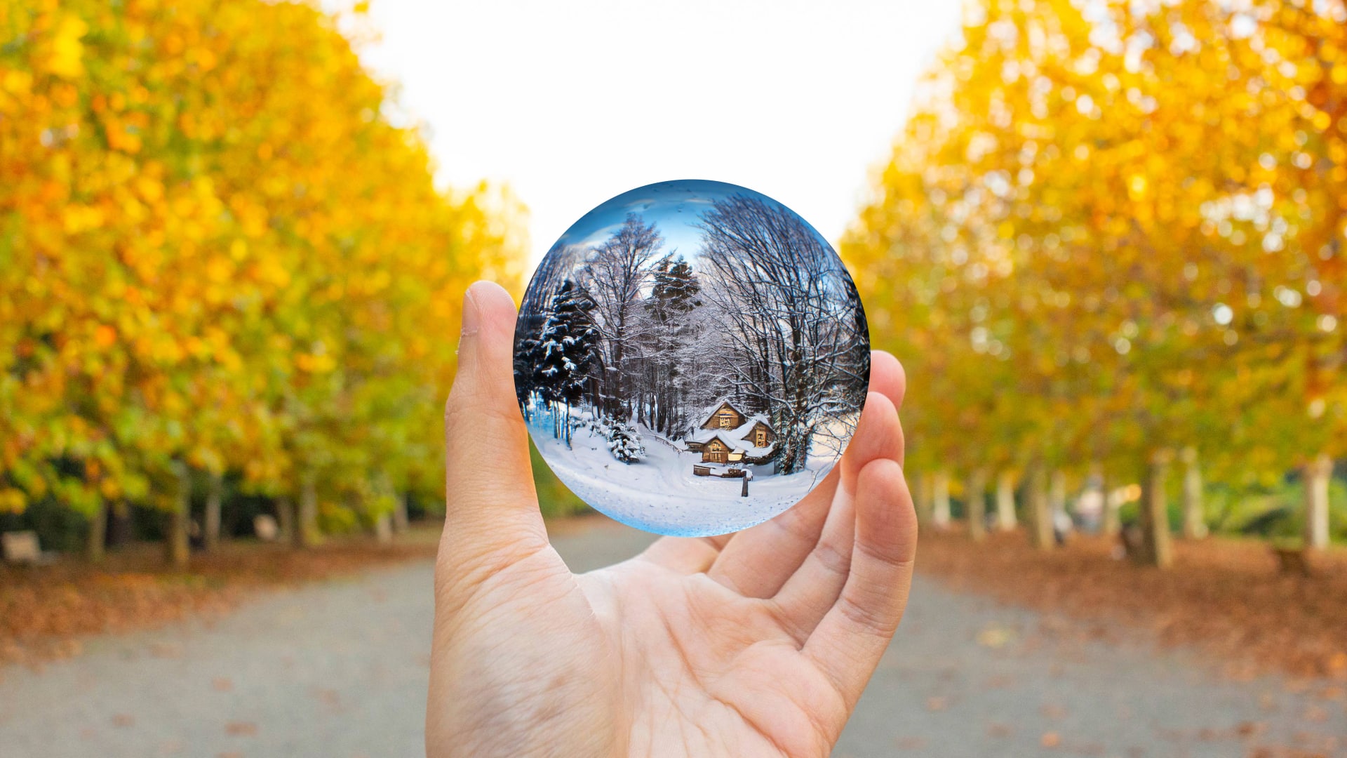 January Brain Concept. A hand holding a crystal ball surrounded by autumn trees. The crystal ball contains a winter landscape.