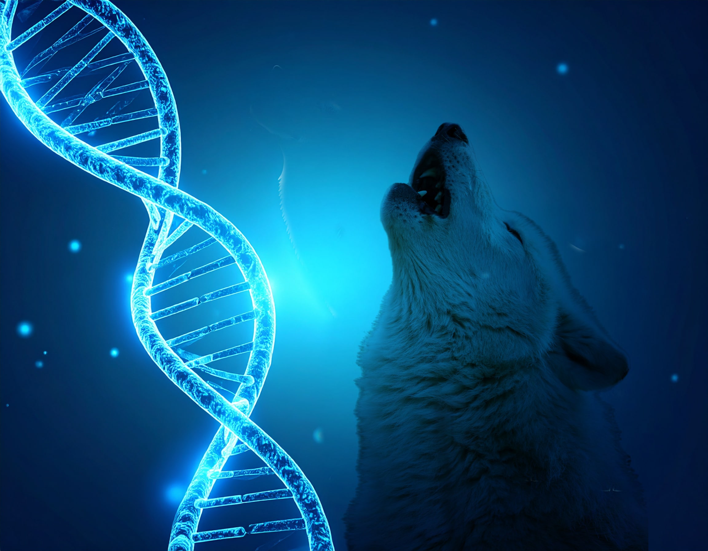 Colossal biosciences dire wolf de-extinction featured image